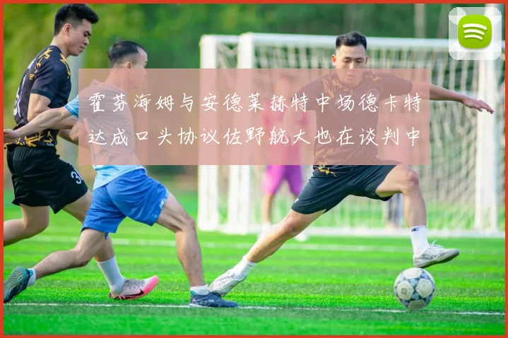 霍芬海姆与安德莱赫特中场德卡特达成口头协议佐野航大也在谈判中